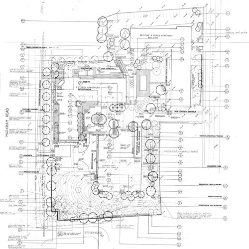 BLOG-IMAGE5.jpg BLOG-IMAGE5.jpg